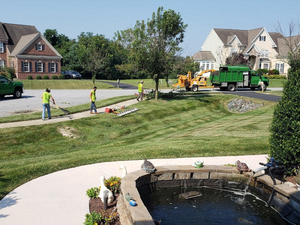 C & R Tree Service