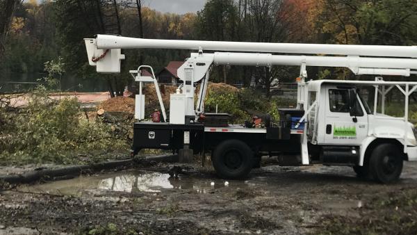 Armstrong Tree Services Inc.