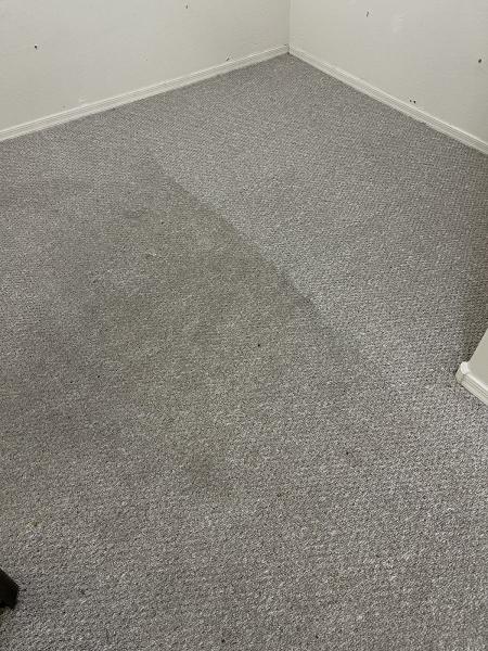 Healthy Living Carpet & Tile Cleaning