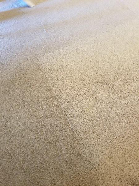 SLP Carpet Cleaning & More