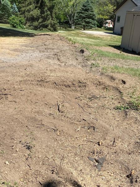 R&B Stump Removal