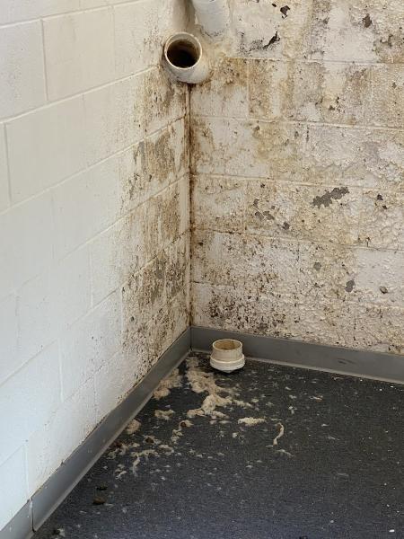 Elite Plumbing Services