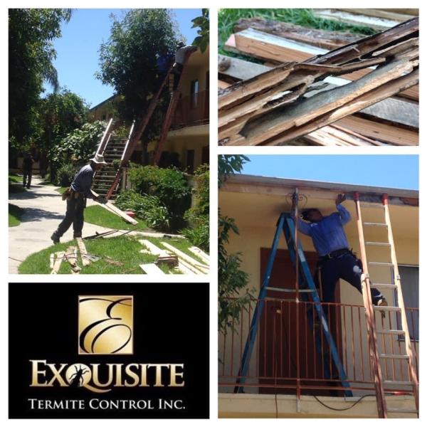 Exquisite Termite Control Inc.