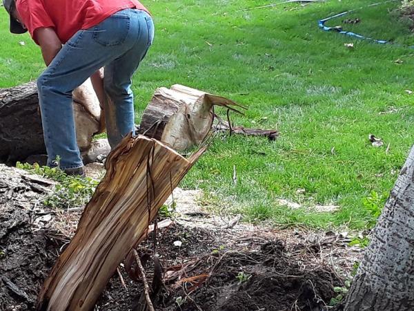 Utah Flood Cleanup