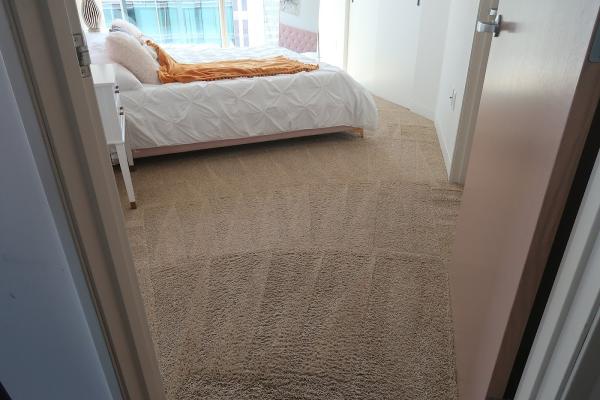 5 Step Carpet Care SCV
