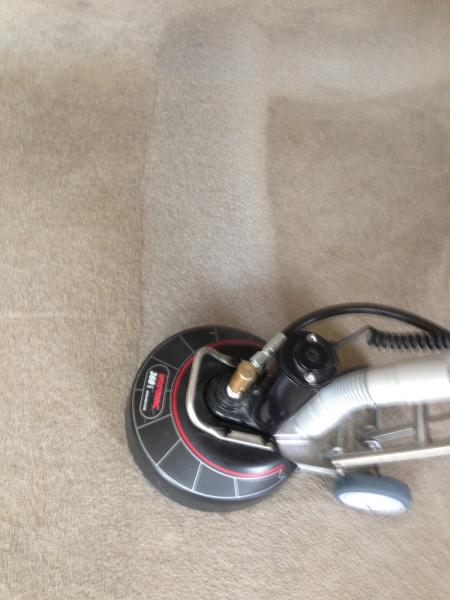 Terry's Carpet Cleaning