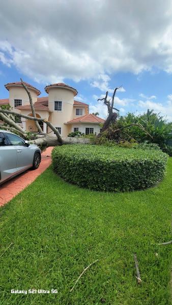 P&P Landscaping and Tree Service
