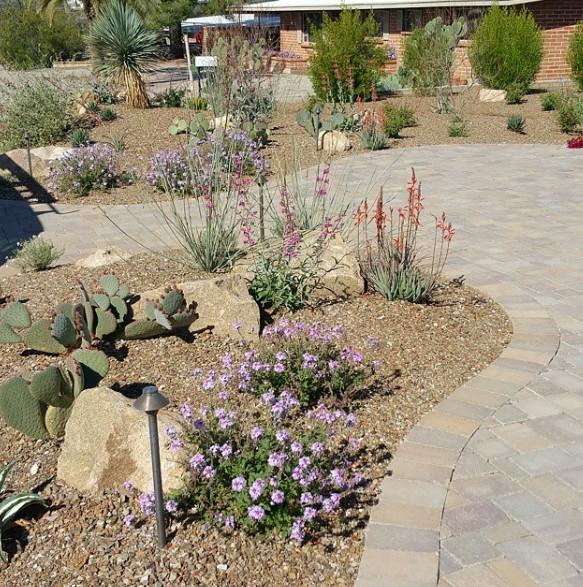 Ecosense Sustainable Landscapes