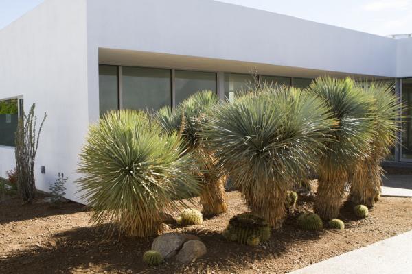Ecosense Sustainable Landscapes