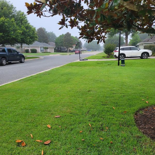 Ecopest Termite & Pest Control