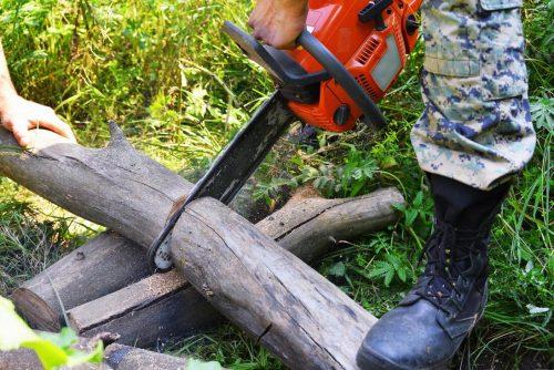 Shreveport Tree Service & Removal