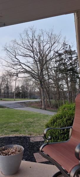 Alford Tree Service LLC