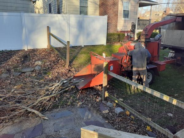 Affordable Stump Grinding and Property Management