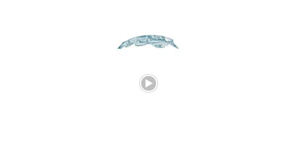United Water Restoration Group