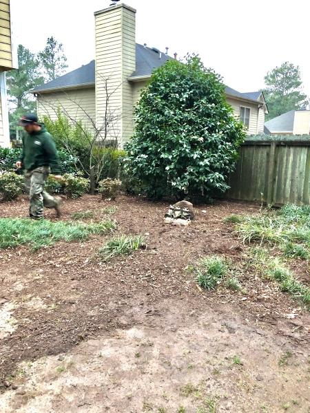 Antonio's Tree Experts LLC