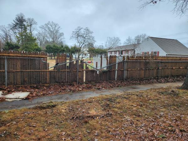 Fairlead Tree Service