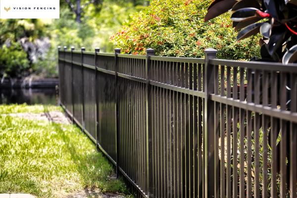 Vision Fencing