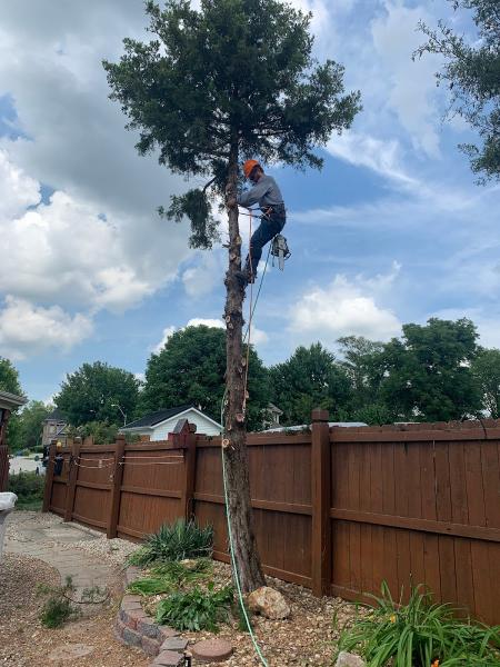 Quality Lawn & Landscape Bros.