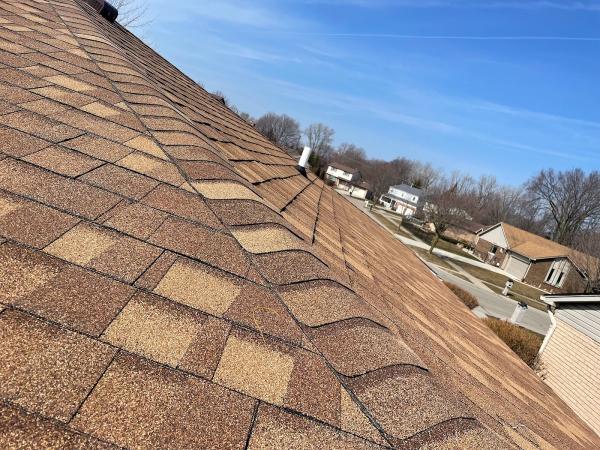 Bella's Roofing