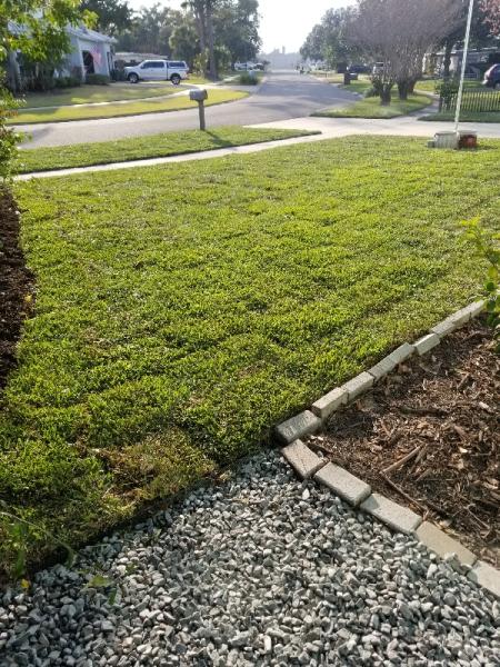 Gator Irrigation and Landscaping