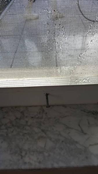 WK Handyman LLC