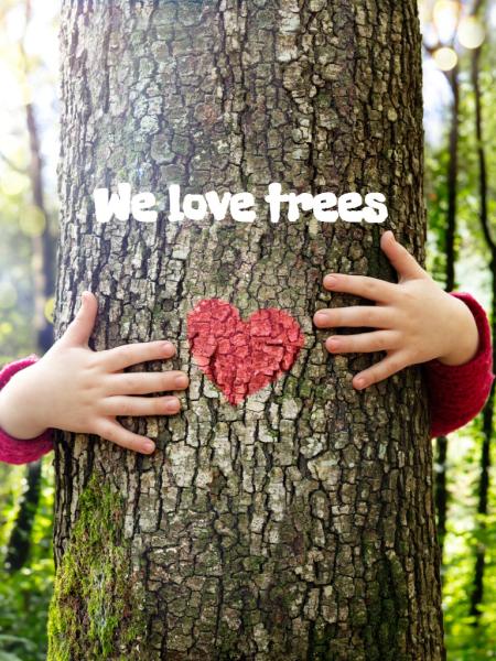 Windy City Tree Service