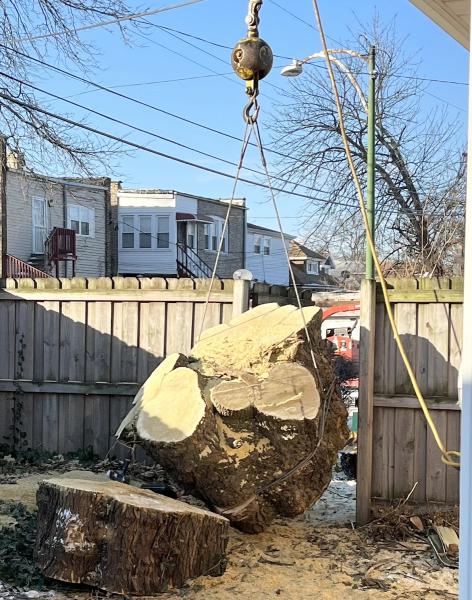 Windy City Tree Service