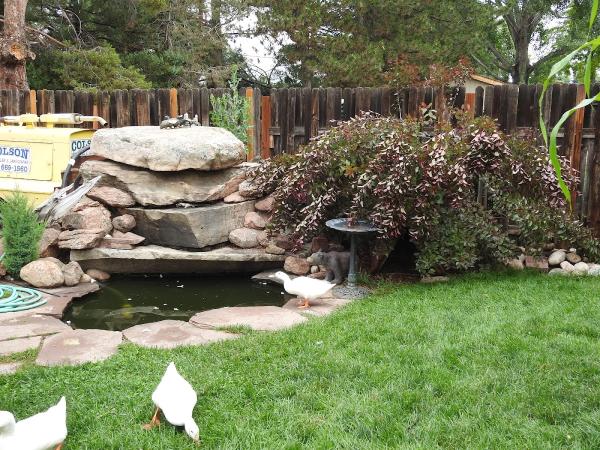 Colson Sprinkler & Landscaping