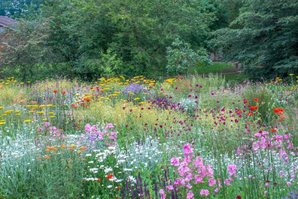 Fiore Garden Designs Inc.