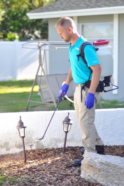 Pest Care