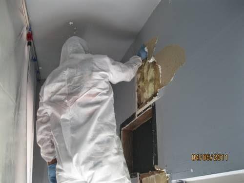 Drymaster Restoration