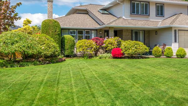 Austin's Classic Lawn & Landscaping