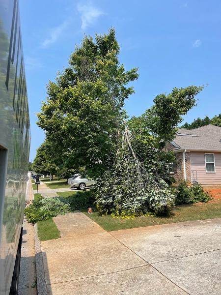 A Perfection Tree Service Removal