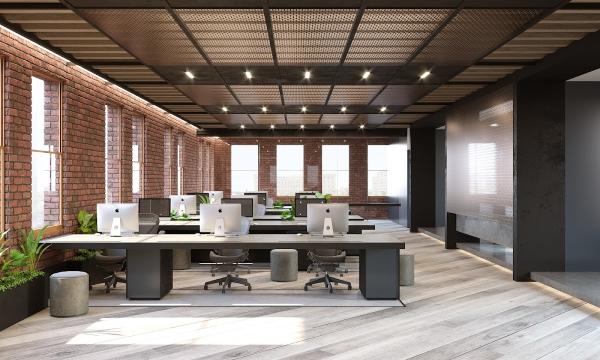 Levy Design Group
