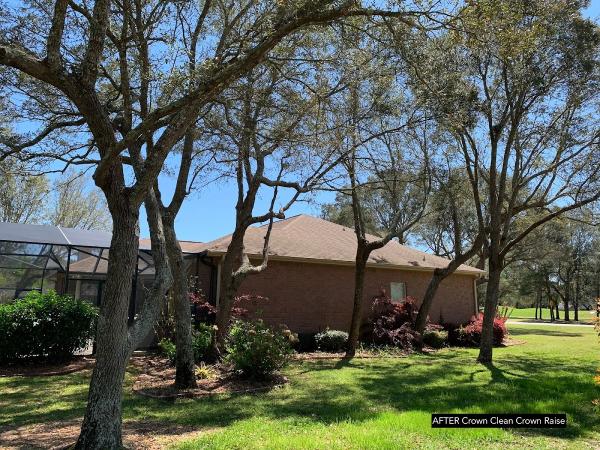 New Leaf Arboriculture