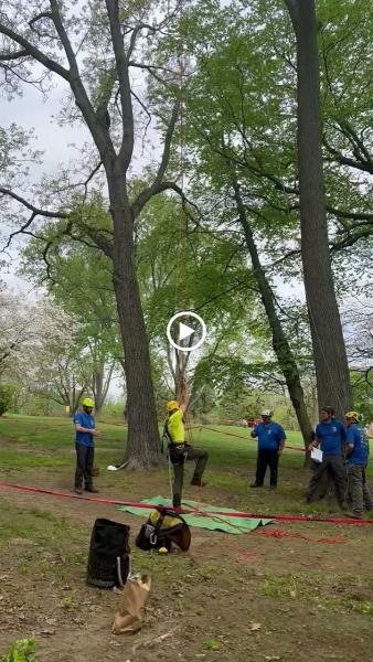 Family Tree Care