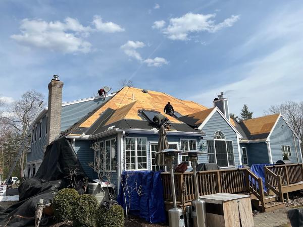 Lion Exteriors and Construction