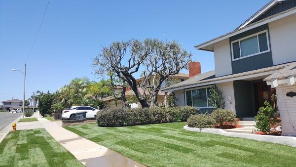 Tony's B.C. Tree Service