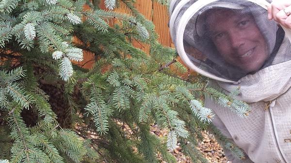 Bees & Trees