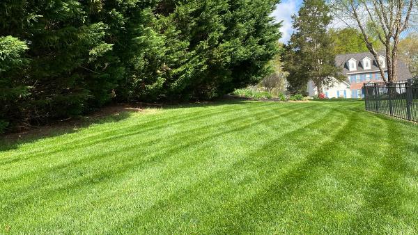 SAV Landscaping