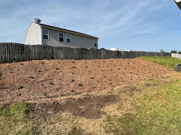 SAV Landscaping