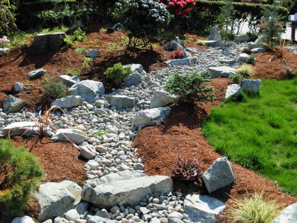 Oasis Landscape