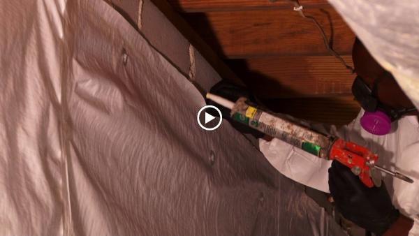 Mold & Mildew Solutions