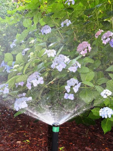 Irrigation Innovations