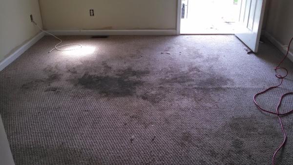 Blue Bubble Home Services