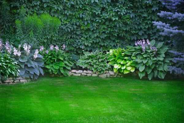 Landscaping 365