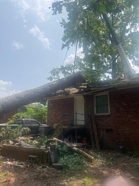 Clarks Tree Express LLC