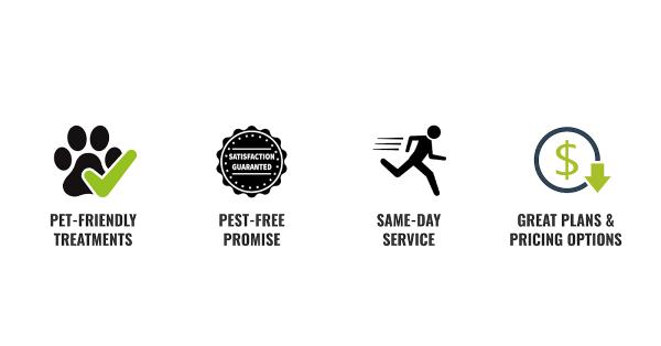 Essential Pest Control