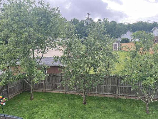 Mitchell Tree Care