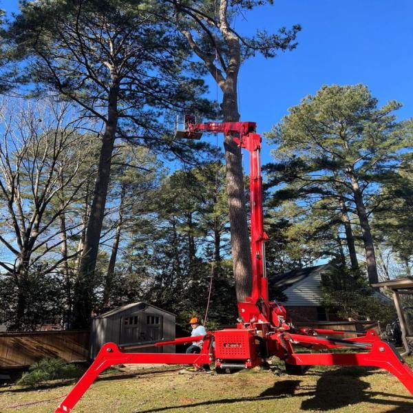 A Atlantic Tree Service